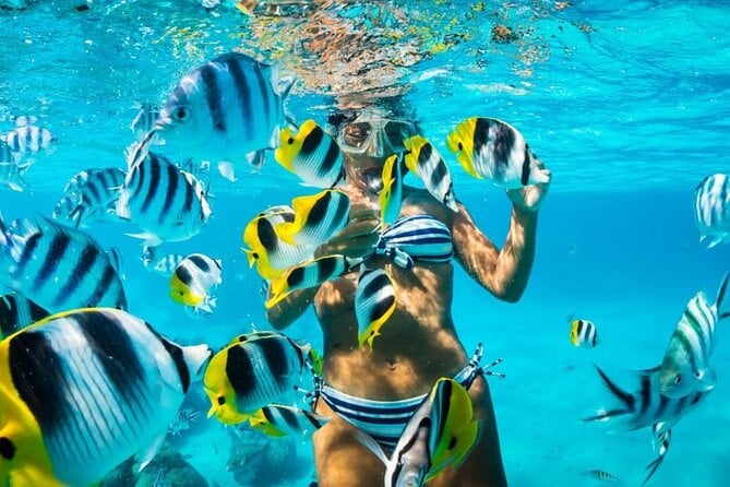 Tiran Island Snorkeling