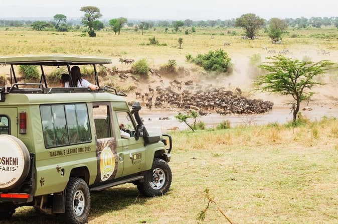 Witness the Great Migration - Arusha