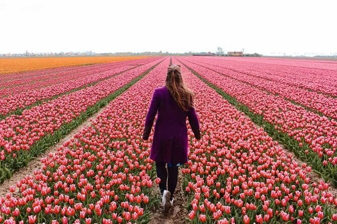 Keukenhof Gardens Tour