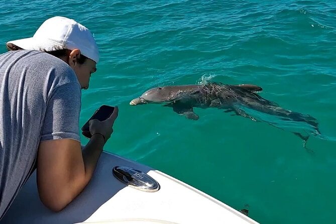 Key West Dolphin Watching