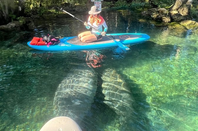 Crystal River Paddle Board Rental