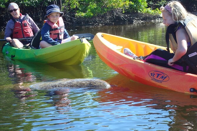 Pelican Bay Kayak Rental