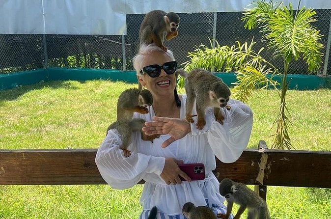 Puerto Plata Monkey Tour