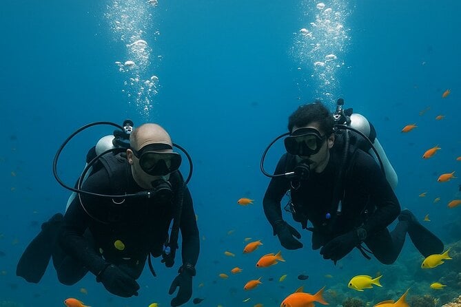 Ocho Rios Scuba Diving