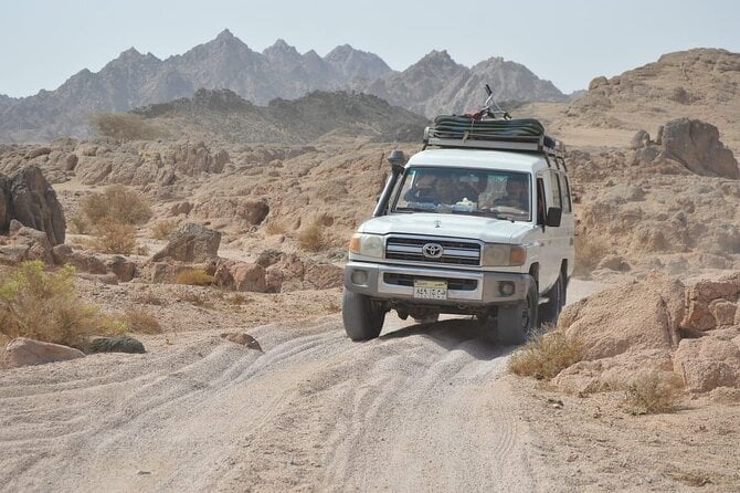 Dahab Quad Bike Safari & Canyon Tour