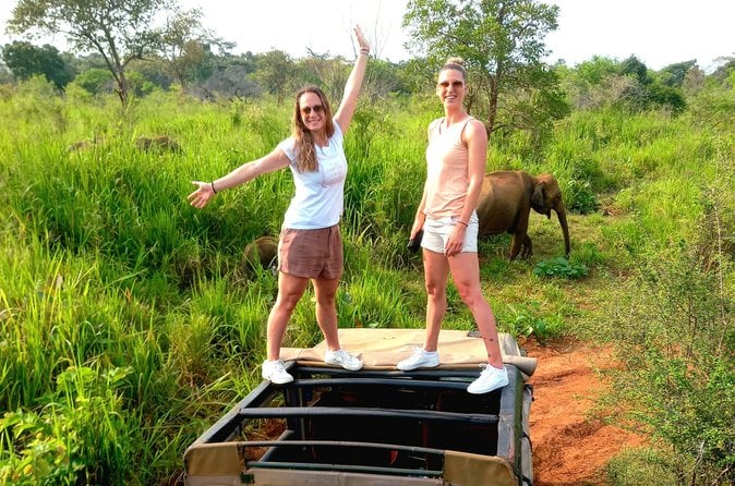 Sigiriya & Minneriya Safari