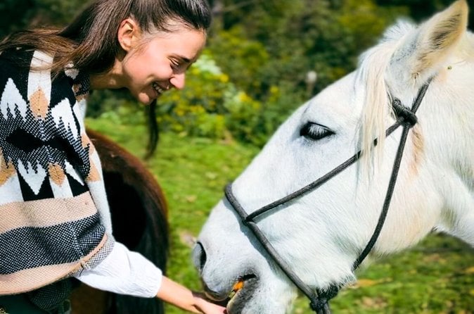 Four Ruins Horseback Tour