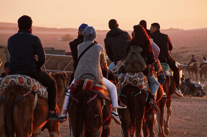 Agafay Desert Camel Ride