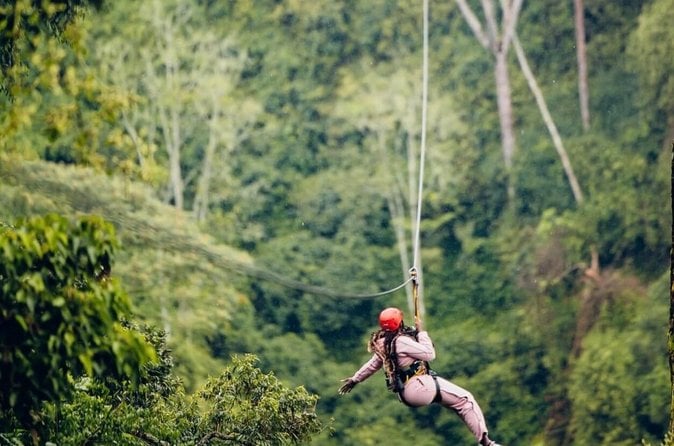 Nyungwe National Park Tour