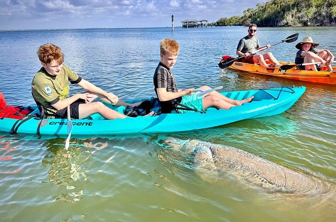 Daytona Beach Kayaking Tour