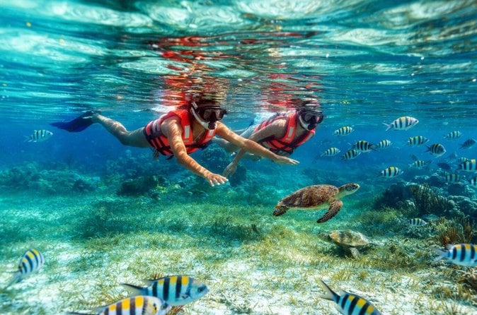 Puerto Morelos Reef Snorkeling