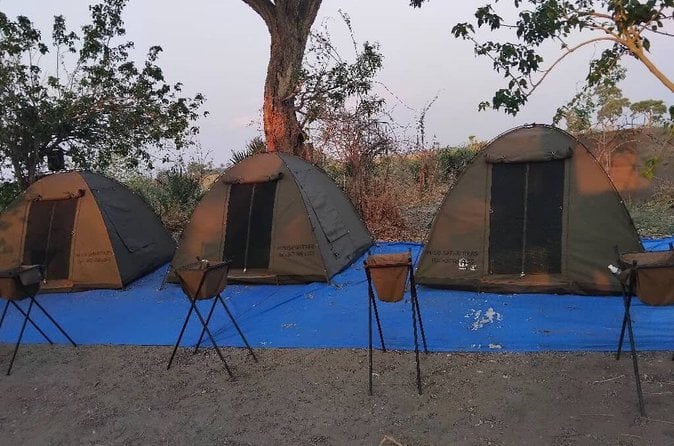 Okavango Delta Safari: Wild Encounters
