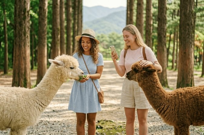 Gangchon Rail Bike Tour
