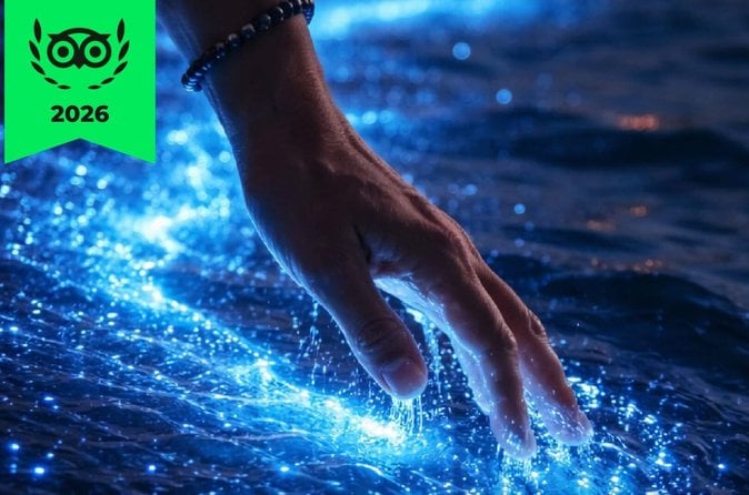 Bioluminescence Tour