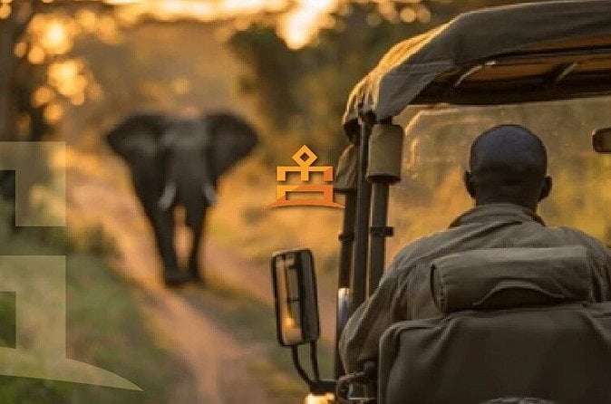 Pilanesberg Safari - Johannesburg
