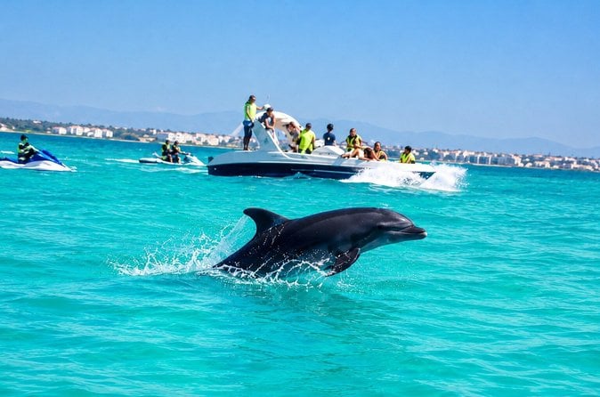 Djerba Dolphin Watching
