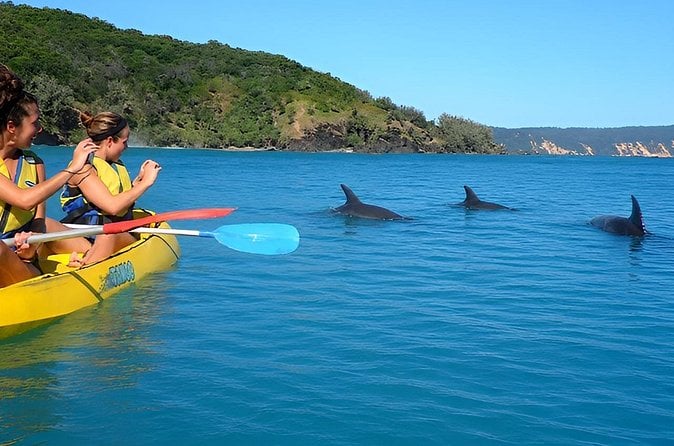 Noosa Everglades Tour