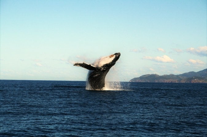 Great Barrier Reef Tour