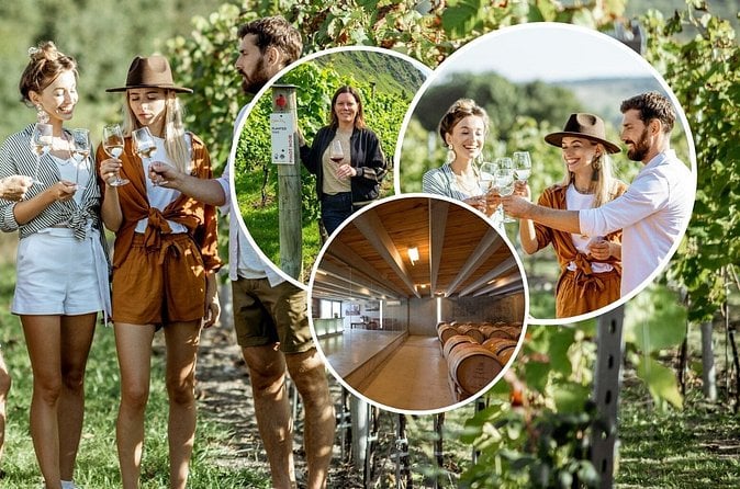 Gibbston Wine Tour