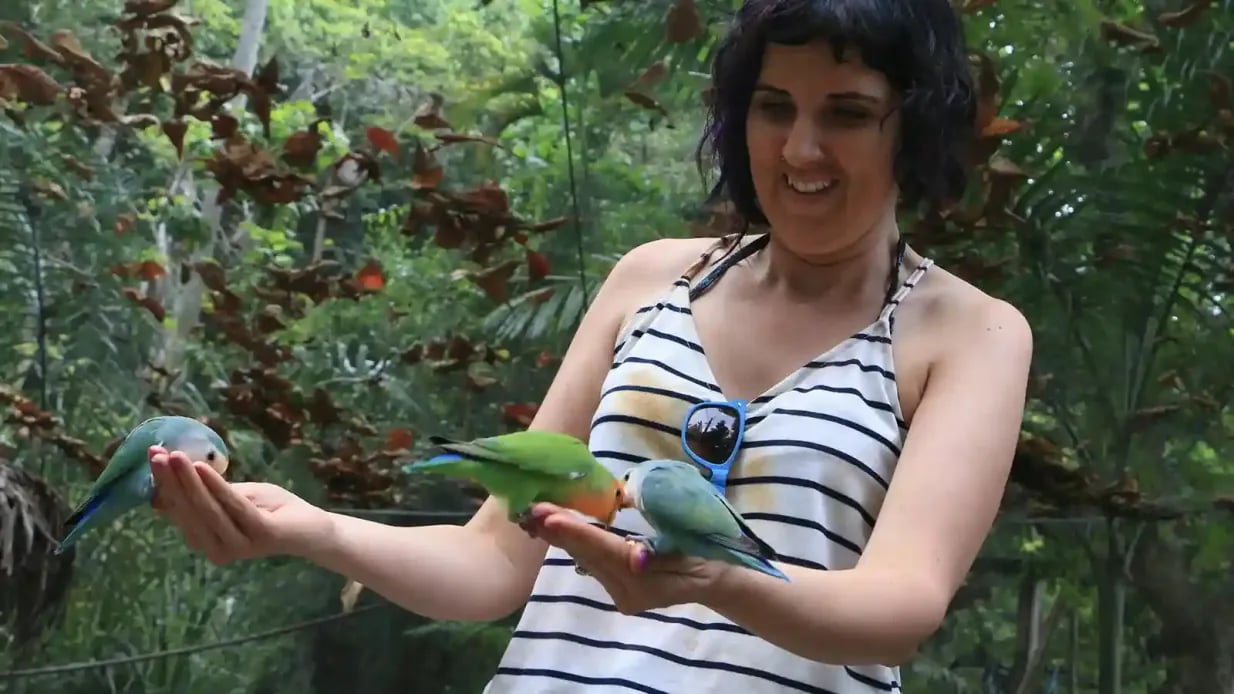 Thrilling Yaaman Adventure Park