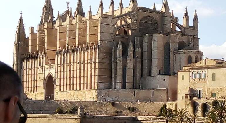 Palma Free Tour
