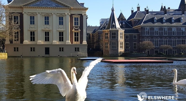 The Hague Private Walking Tour