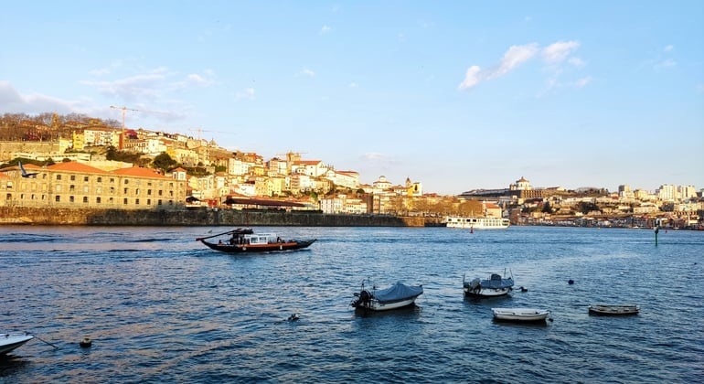 Porto Free Tour: Explore Like a Local