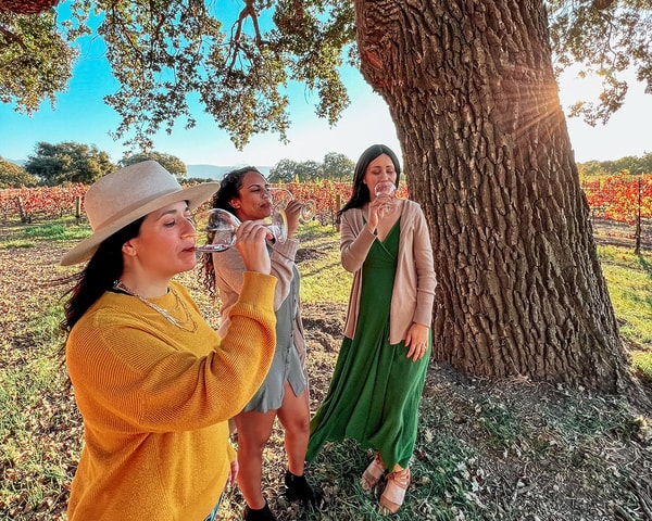 Santa Ynez: Wine Country Tour