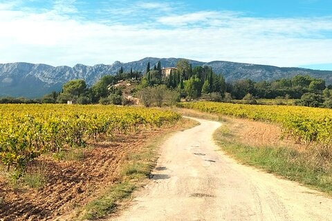 Aix-en-Provence Local Wine Tour : Aperitif, Pétanque & Villages