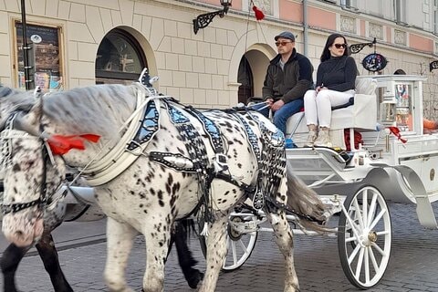 Old Town of Krakow and Wawel in Russian