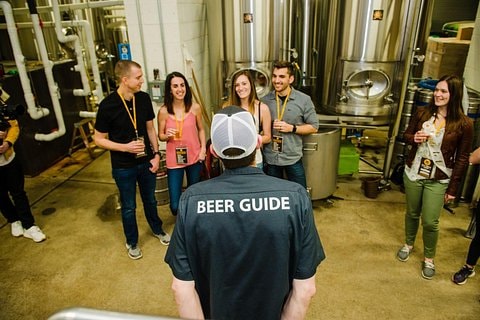 Craft Brewery Tour: 12 Beer Tastings & VIP Brewery Access