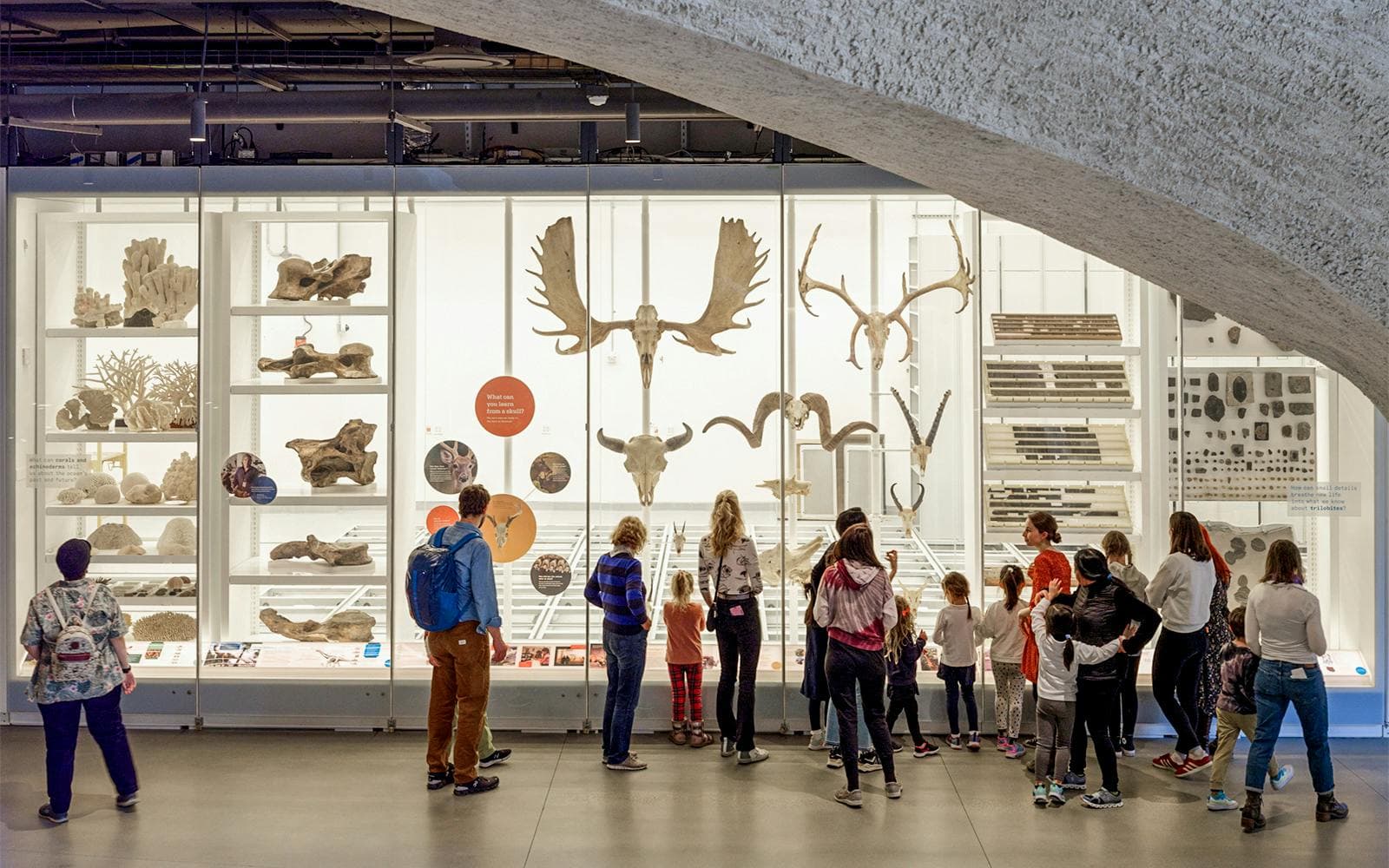 Explore NYC's Iconic American Museum of Natural History
