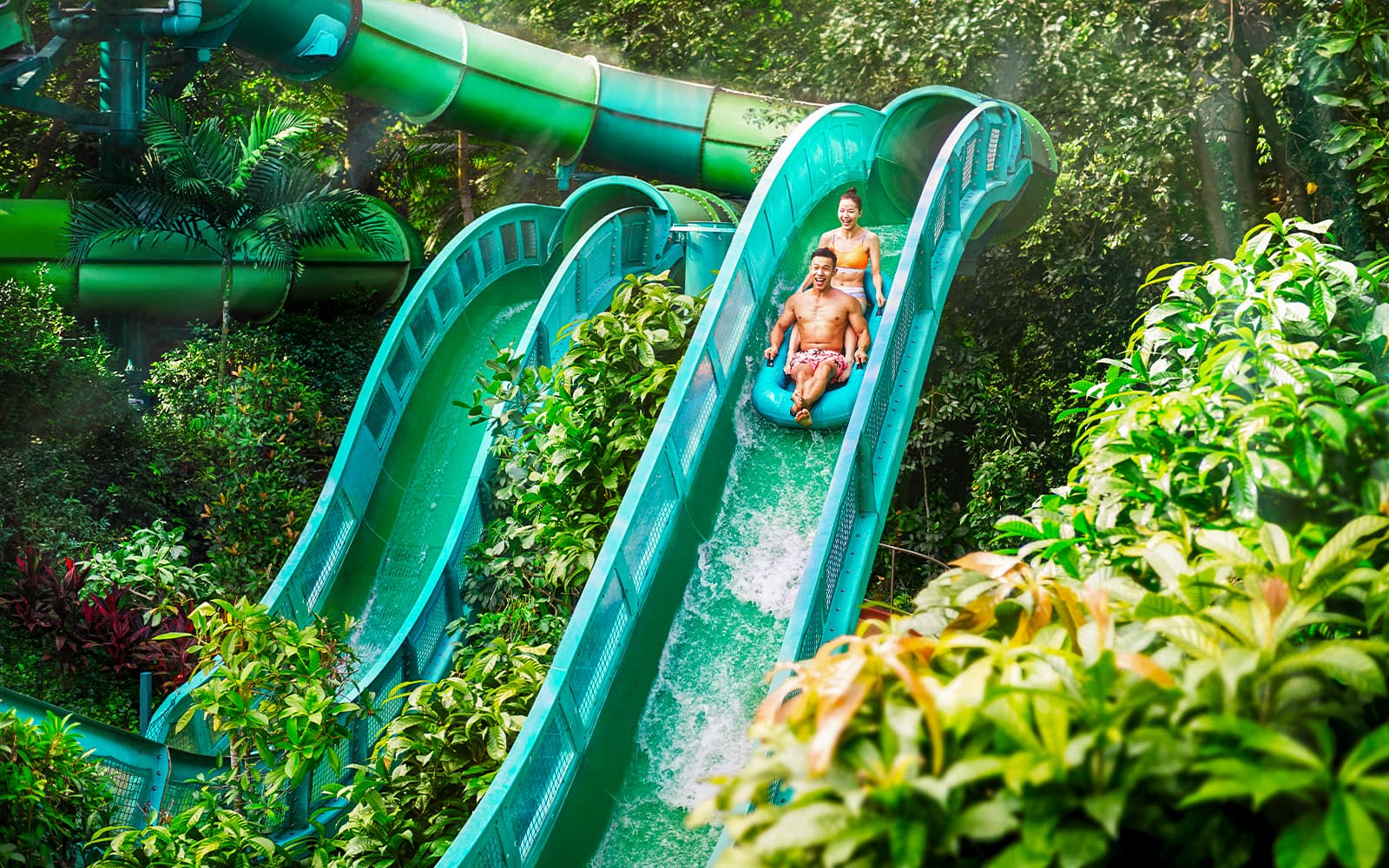 Best Singapore Waterpark Adventure & Marine Experiences