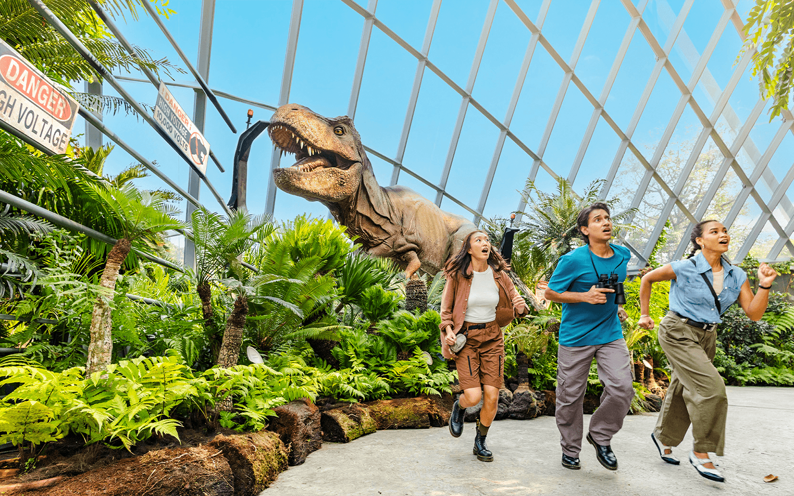 Experience the Magic of Gardens by the Bay Singapore