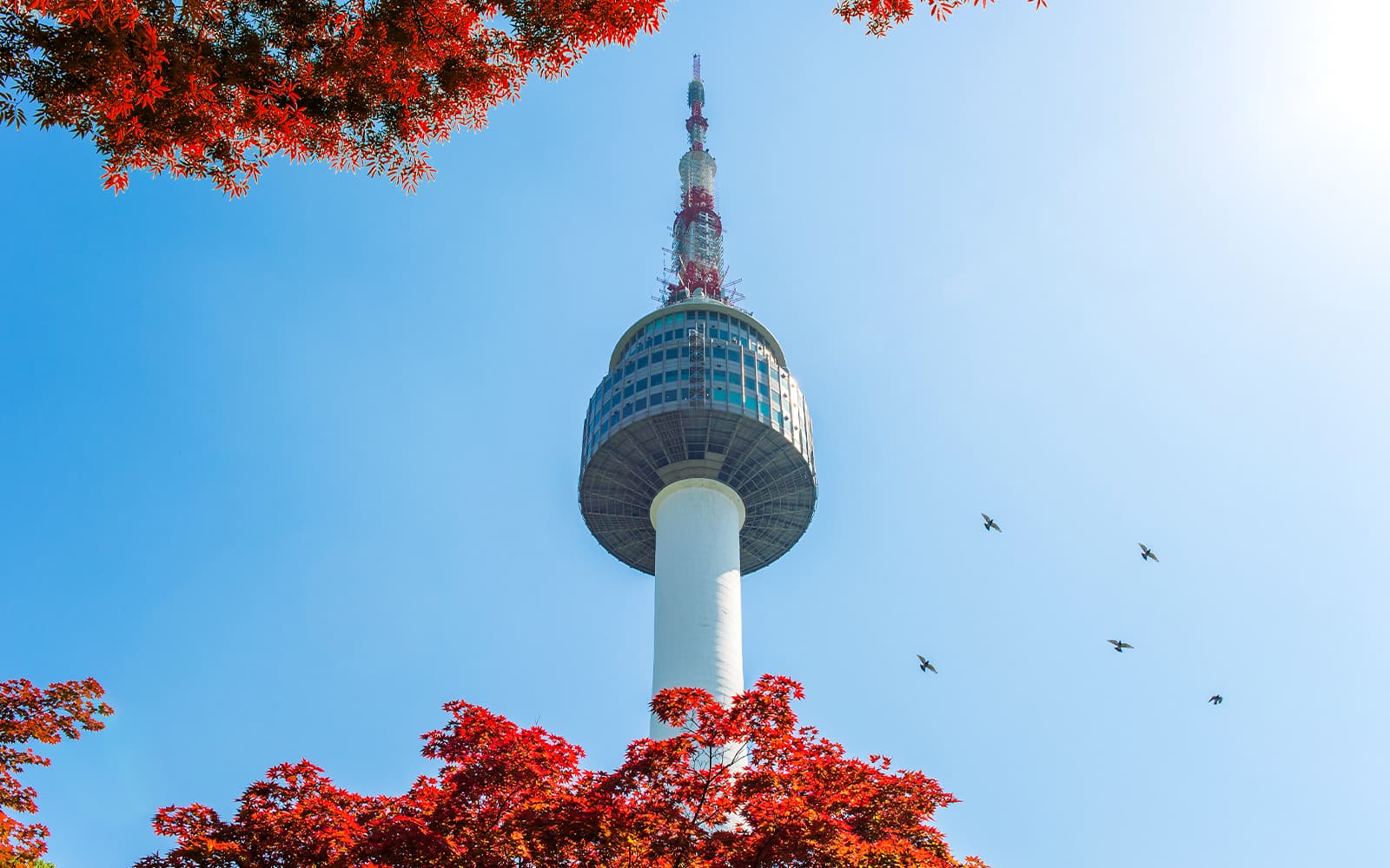N Seoul Tower