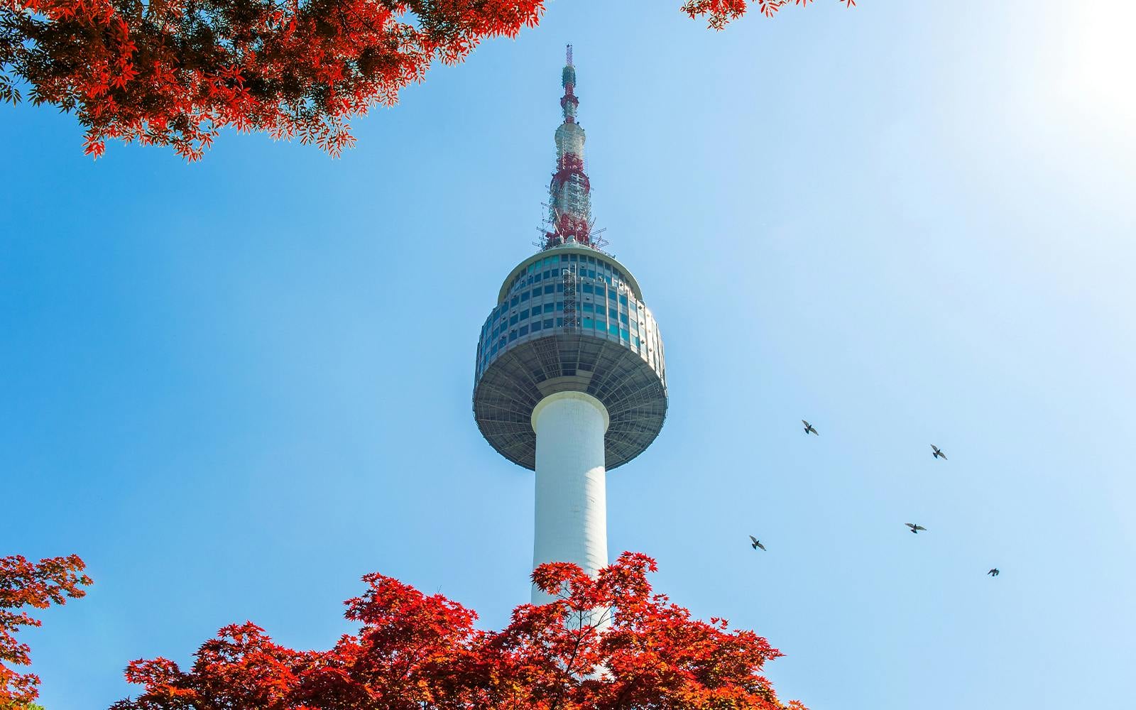 N Seoul Tower Nightscape