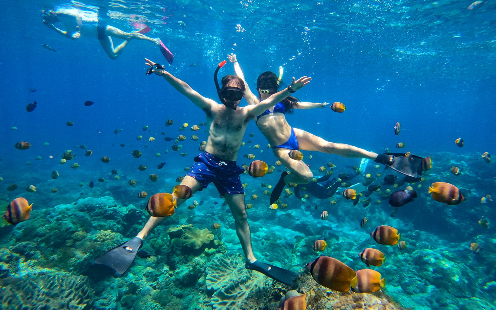 Manta Ray Snorkeling in Nusa Lembongan