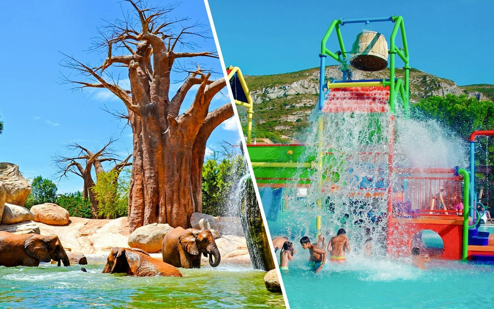 Best Water Park Tours in Valencia