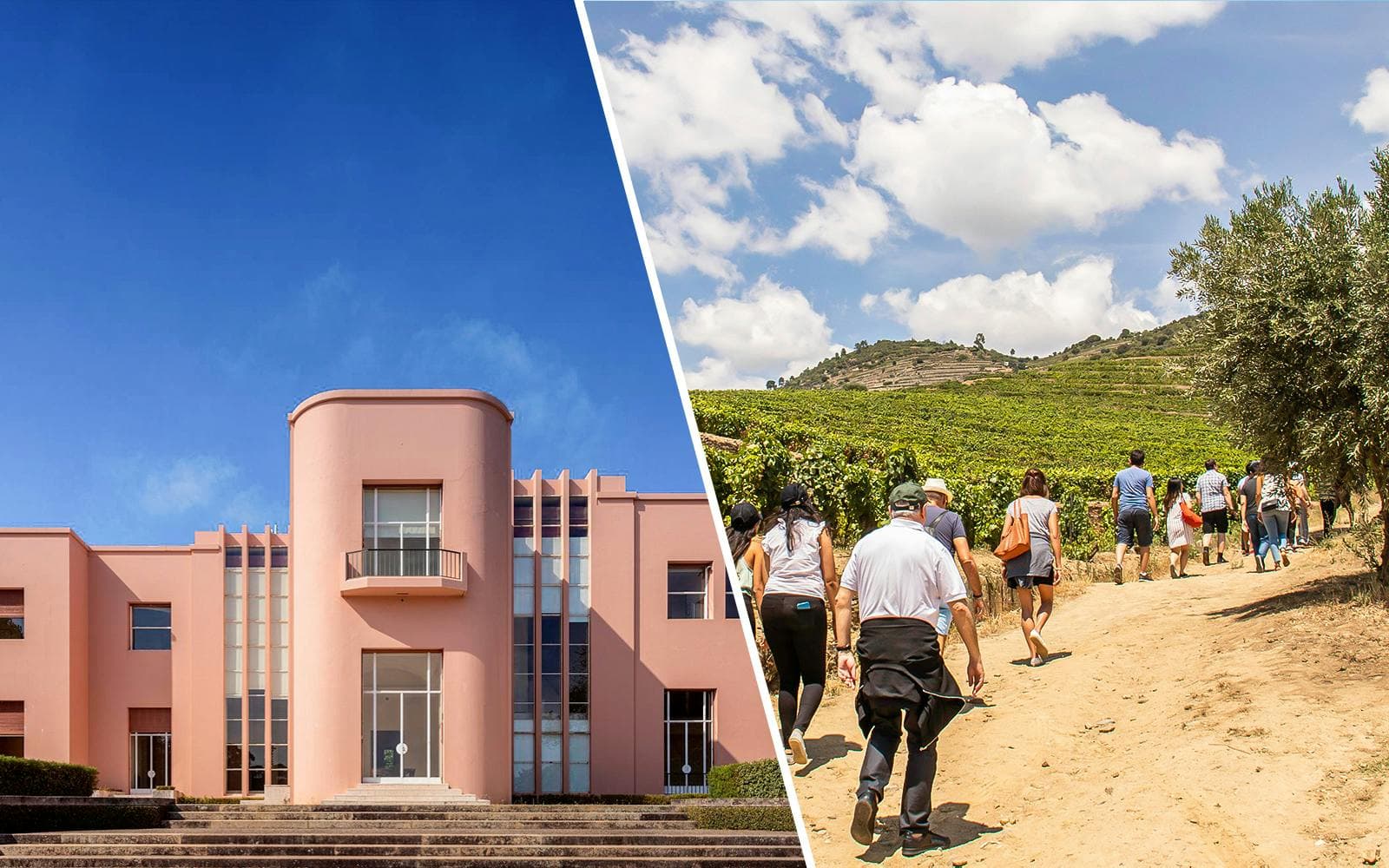 Explore Serralves: Art, Architecture & Gardens