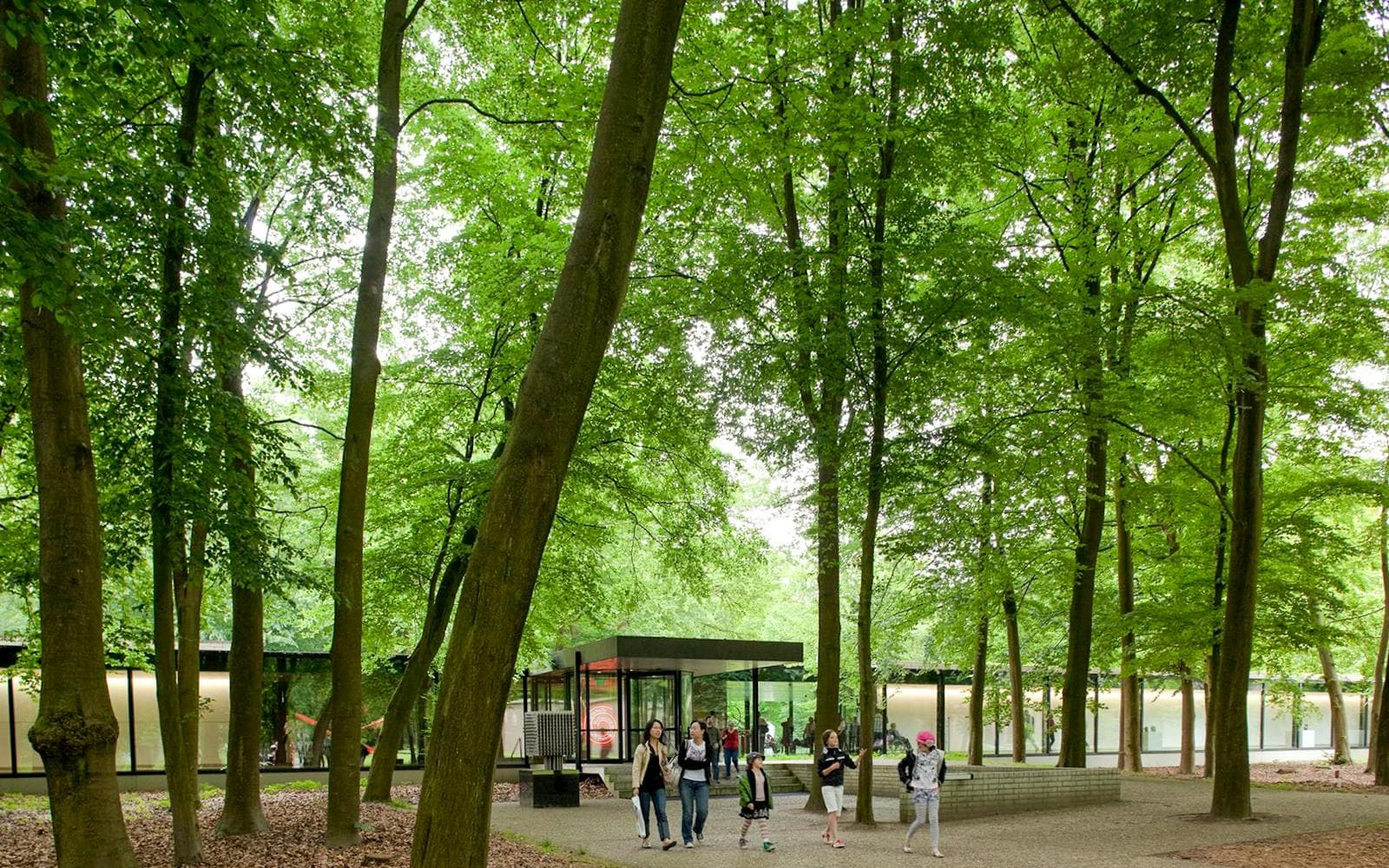 Best Kröller-Müller Museum Tours & Tickets