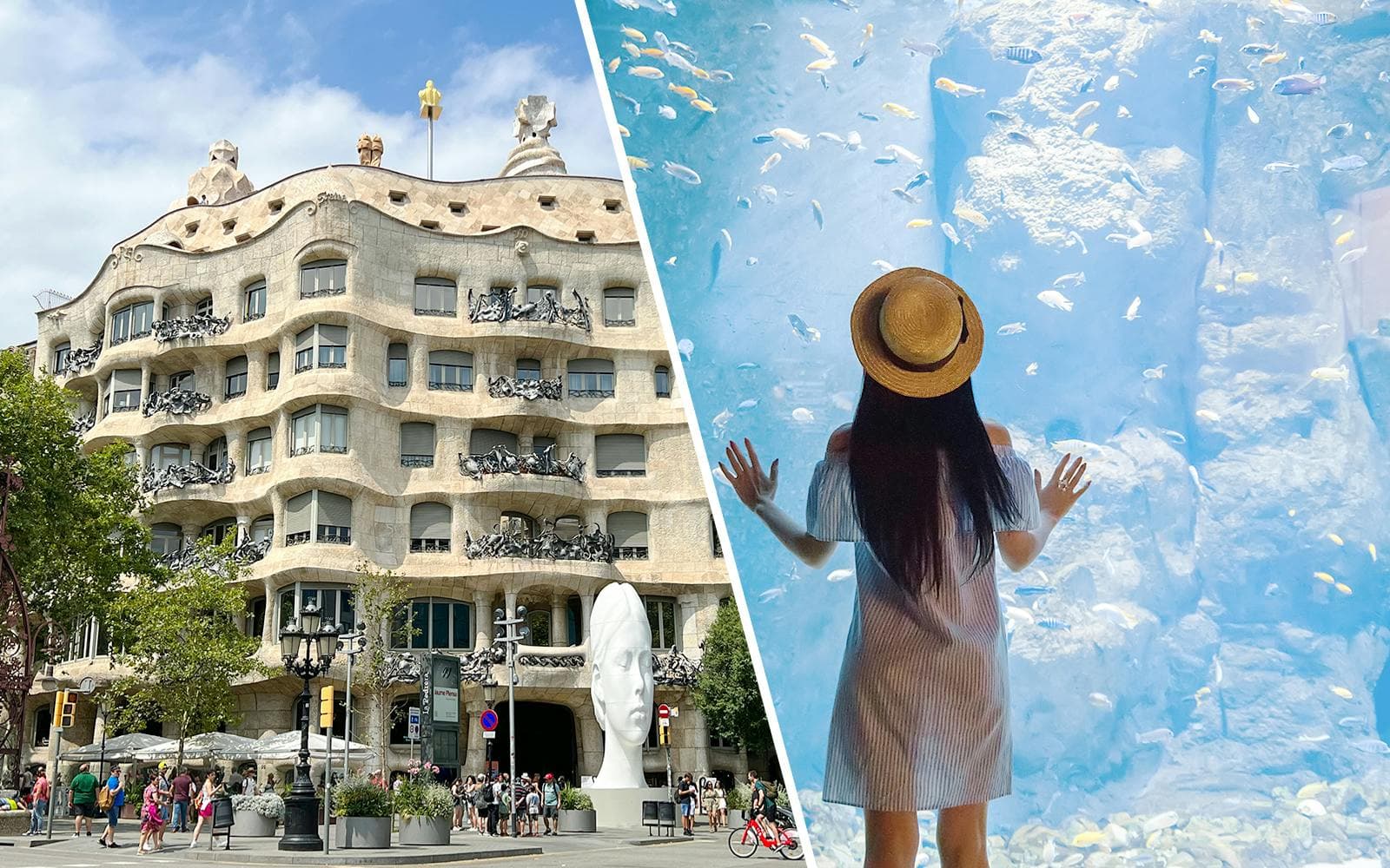 Barcelona Zoo Tours & Tickets