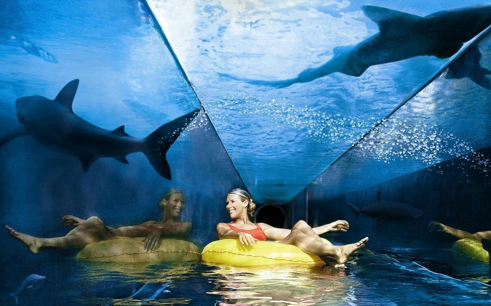 Book Top-Rated Tours at Atlantis Dubai