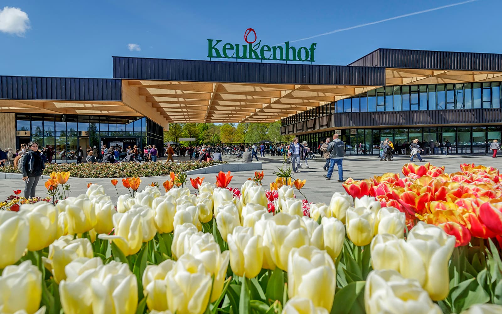 Best Keukenhof Gardens Tours & Amsterdam Flower Trips