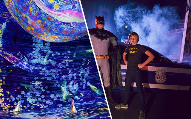 Combo: teamLab Phenomena Abu Dhabi + Warner Bros. World™ Abu Dhabi Tickets with Free Shuttle Service