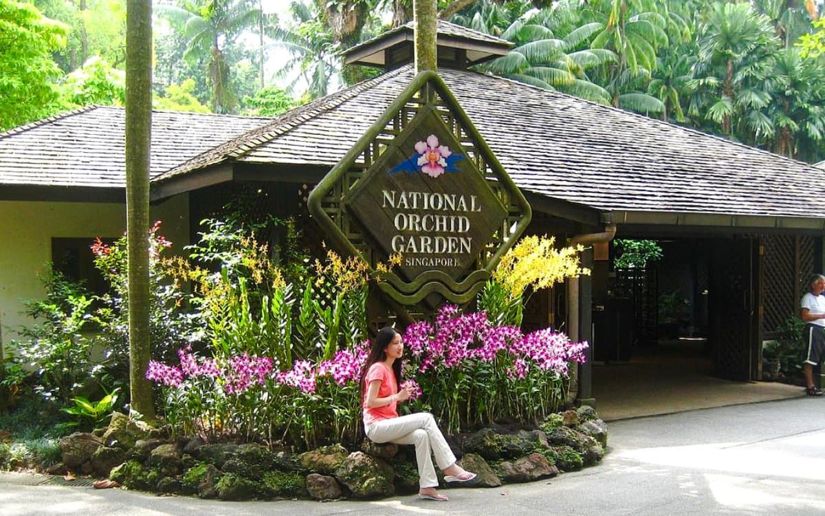 Explore Singapore's Iconic National Orchid Garden