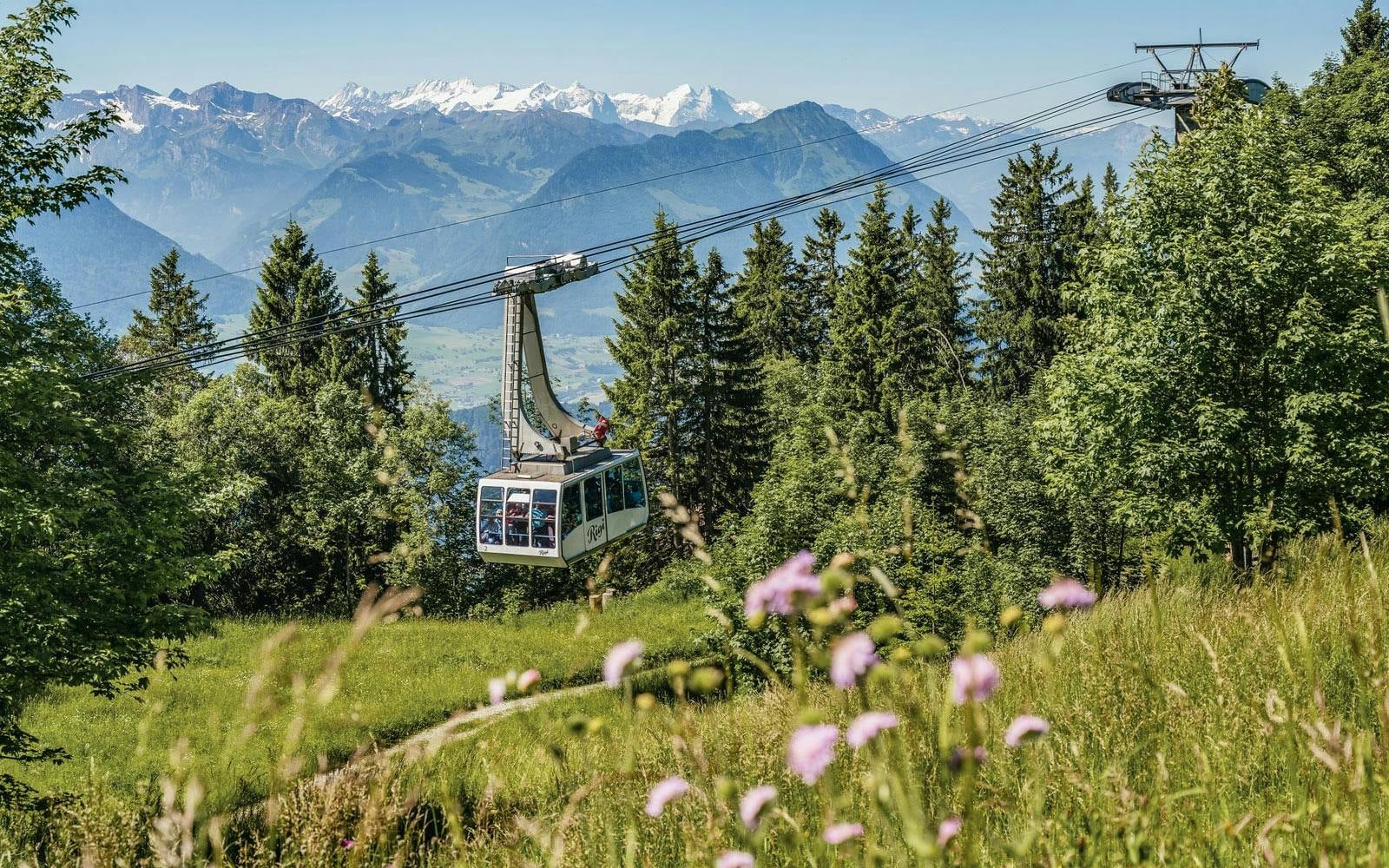 Rigi Summit Day Trip