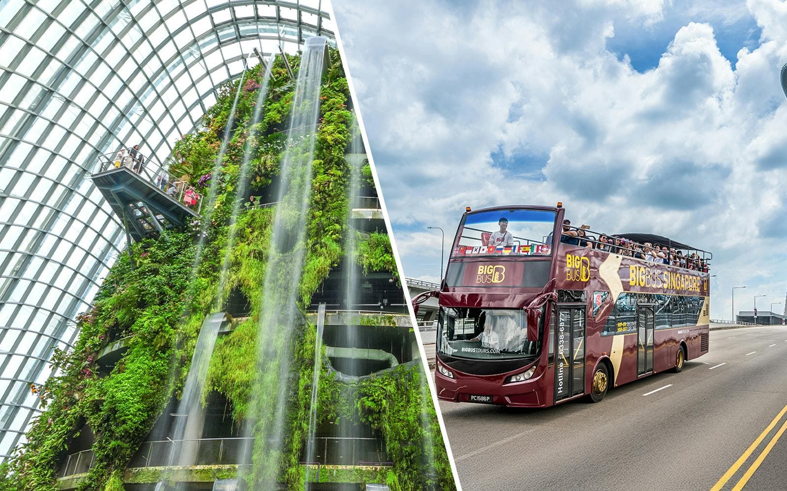 Best Big Bus Singapore Night Tours & Itineraries