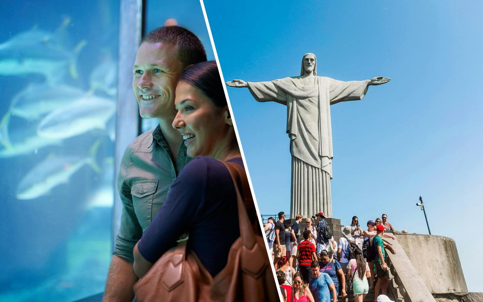 AquaRio: Rio's Premier Aquarium Experience