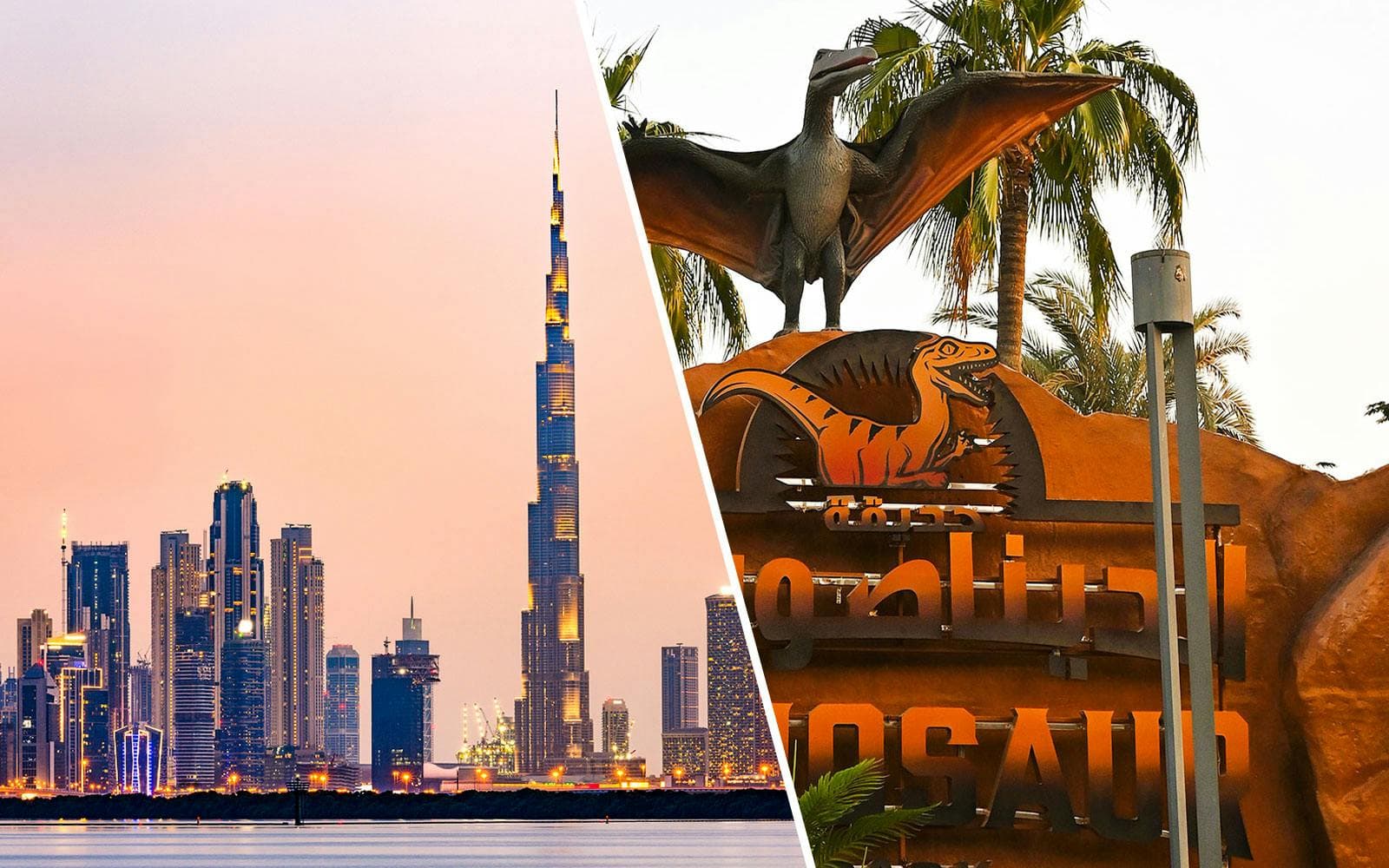 Explore Dubai Garden Glow Tours & Tickets