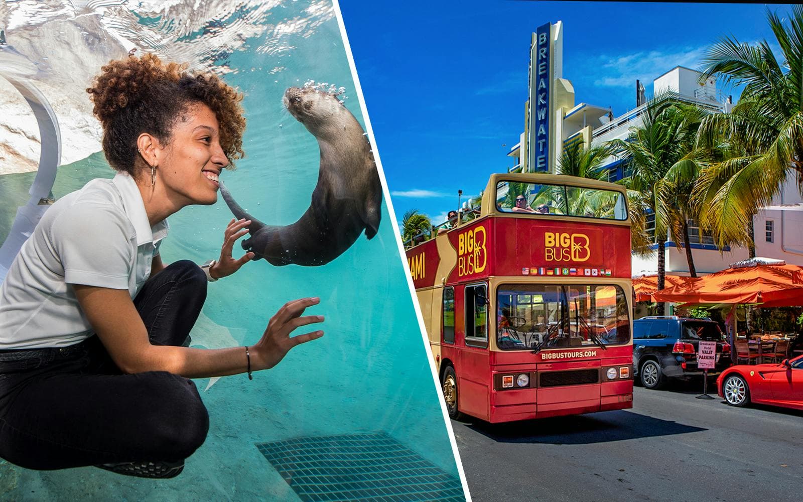 Compare Top Miami to Key West Day Tours